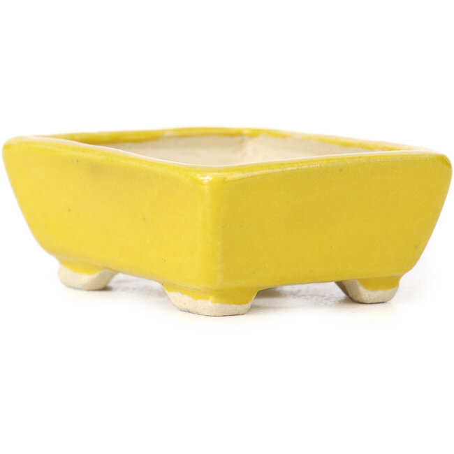 Vaso bonsai giallo rettangolare di Seto - 70 x 65 x 30 mm