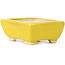 Pot à bonsaï rectangulaire jaune par Seto - 70 x 65 x 30 mm