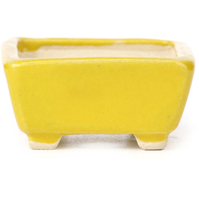 Vaso bonsai giallo rettangolare di Seto - 70 x 65 x 30 mm