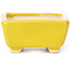 Pot à bonsaï rectangulaire jaune par Seto - 70 x 65 x 30 mm