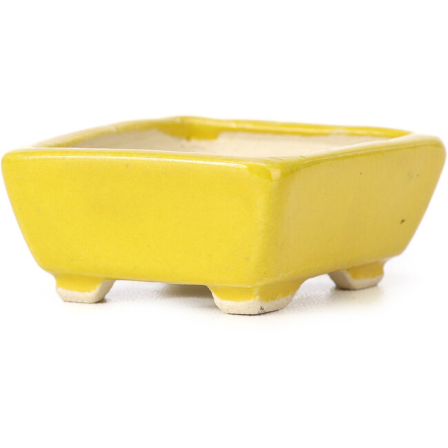 Rechteckige gelbe Bonsaischale von Seto - 70 x 65 x 30 mm