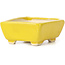Pot à bonsaï rectangulaire jaune par Seto - 70 x 65 x 30 mm
