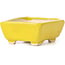 Rectangular yellow bonsai pot by Seto - 70 x 65 x 30 mm