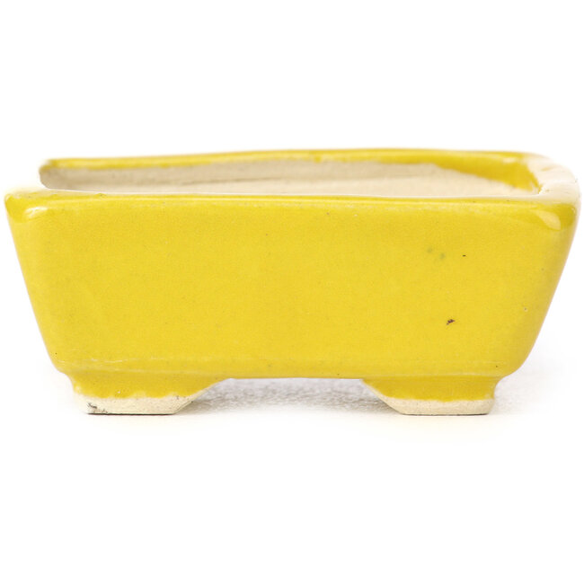 Rechteckige gelbe Bonsaischale von Seto - 70 x 65 x 30 mm