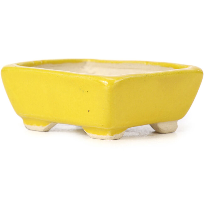 Vaso bonsai giallo rettangolare di Seto - 70 x 65 x 30 mm