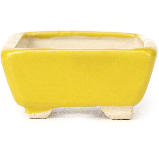 Maceta de bonsái amarilla rectangular de Seto - 70 x 65 x 30 mm