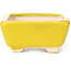 Rectangular yellow bonsai pot by Seto - 70 x 65 x 30 mm