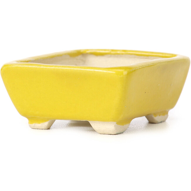 Maceta de bonsái amarilla rectangular de Seto - 70 x 65 x 30 mm