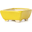 Pot à bonsaï rectangulaire jaune par Seto - 70 x 65 x 30 mm
