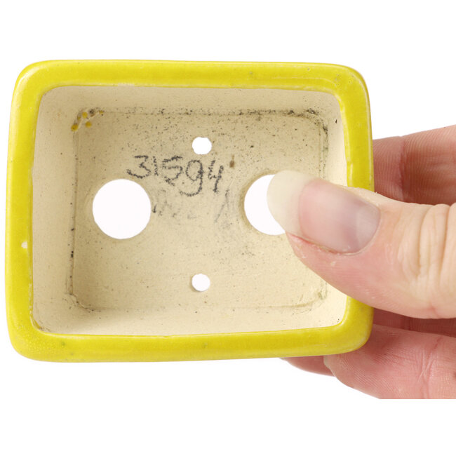 Pot à bonsaï rectangulaire jaune par Seto - 70 x 65 x 30 mm