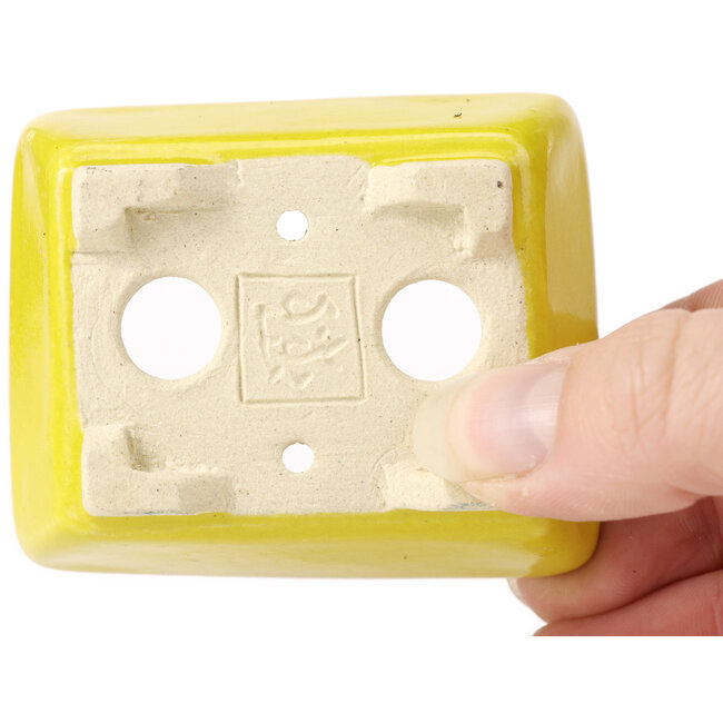 Vaso bonsai giallo rettangolare di Seto - 70 x 65 x 30 mm