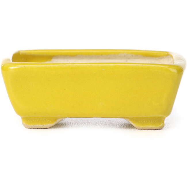 Pot à bonsaï rectangulaire jaune par Seto - 70 x 60 x 25 mm