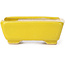 Pot à bonsaï rectangulaire jaune par Seto - 70 x 60 x 25 mm