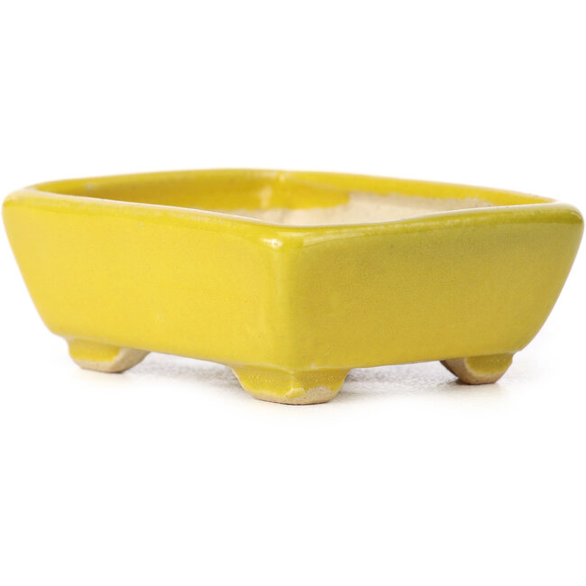 Rectangular yellow bonsai pot by Seto - 70 x 60 x 25 mm