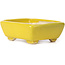Maceta de bonsái amarilla rectangular de Seto - 70 x 60 x 25 mm
