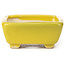 Pot à bonsaï rectangulaire jaune par Seto - 70 x 60 x 25 mm