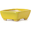 Pot à bonsaï rectangulaire jaune par Seto - 70 x 60 x 25 mm