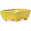 Rectangular yellow bonsai pot by Seto - 70 x 60 x 25 mm