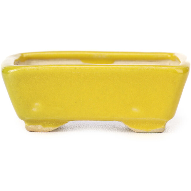Rechteckige gelbe Bonsaischale von Seto - 70 x 60 x 25 mm