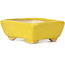 Pot à bonsaï rectangulaire jaune par Seto - 70 x 60 x 25 mm