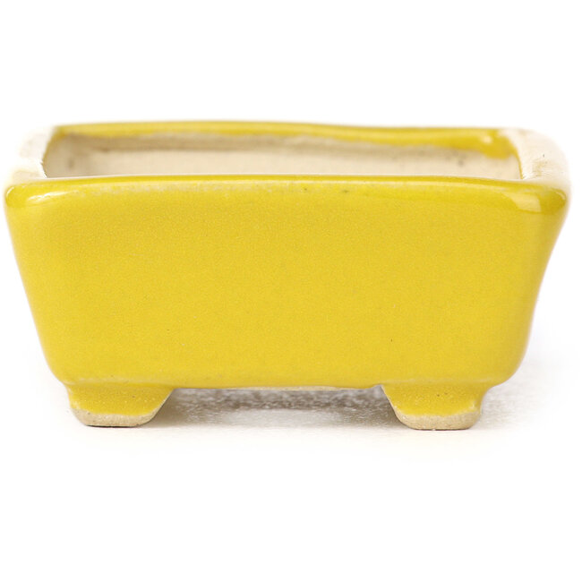 Vaso bonsai giallo rettangolare di Seto - 70 x 60 x 25 mm
