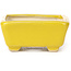 Pot à bonsaï rectangulaire jaune par Seto - 70 x 60 x 25 mm