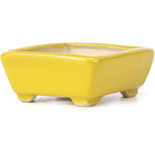 Rectangular yellow bonsai pot by Seto - 70 x 60 x 25 mm