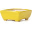 Rectangular yellow bonsai pot by Seto - 70 x 60 x 25 mm