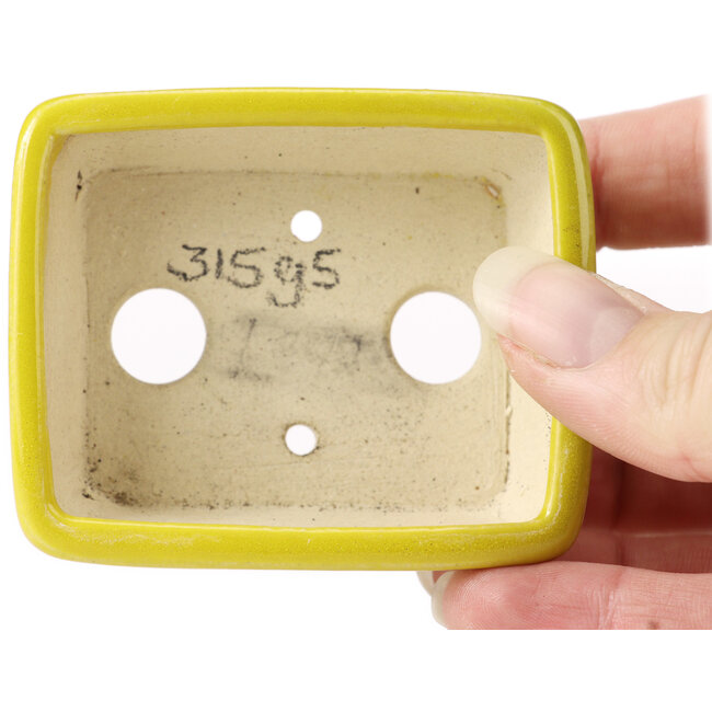 Vaso bonsai giallo rettangolare di Seto - 70 x 60 x 25 mm