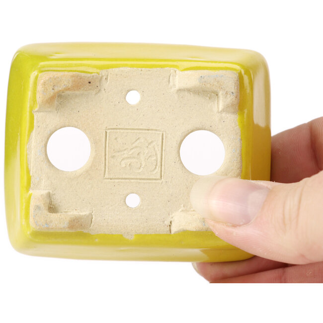 Maceta de bonsái amarilla rectangular de Seto - 70 x 60 x 25 mm
