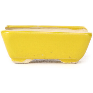 Seto Maceta de bonsái amarilla rectangular de 70 mm de Seto, Japón