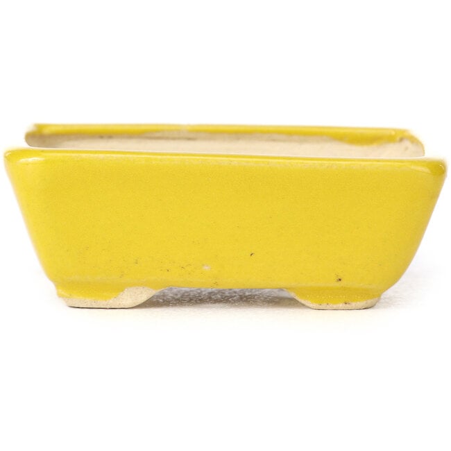 Rectangular yellow bonsai pot by Seto - 70 x 60 x 25 mm