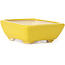 Pot à bonsaï rectangulaire jaune par Seto - 70 x 60 x 25 mm
