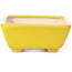 Rectangular yellow bonsai pot by Seto - 70 x 60 x 25 mm