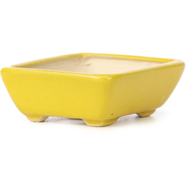 Vaso bonsai giallo rettangolare di Seto - 70 x 60 x 25 mm