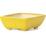 Pot à bonsaï rectangulaire jaune par Seto - 70 x 60 x 25 mm