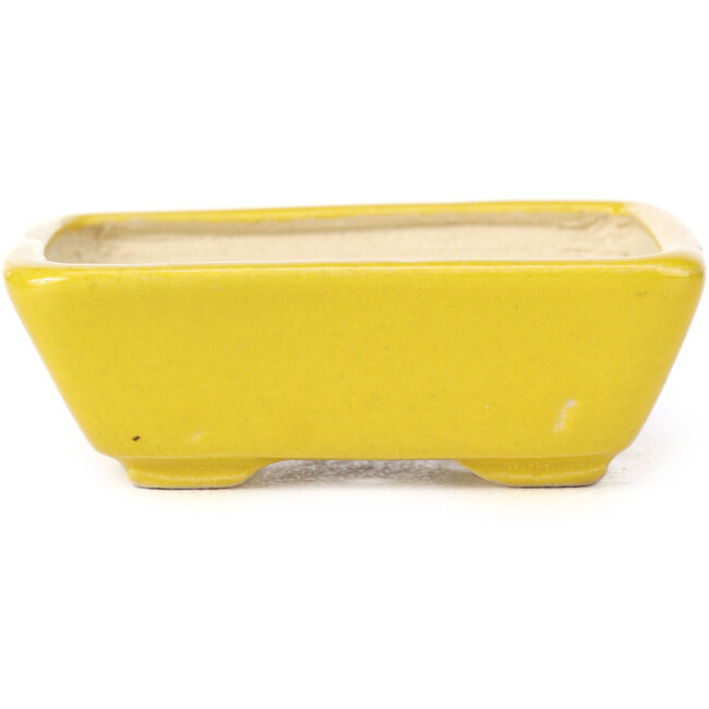 Rectangular yellow bonsai pot by Seto - 70 x 60 x 25 mm