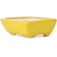 Pot à bonsaï rectangulaire jaune par Seto - 70 x 60 x 25 mm