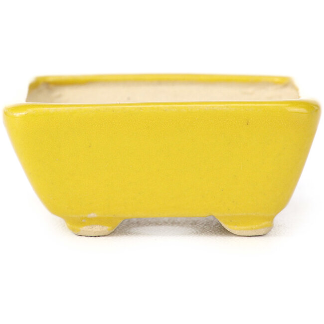 Rechteckige gelbe Bonsaischale von Seto - 70 x 60 x 25 mm