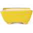 Maceta de bonsái amarilla rectangular de Seto - 70 x 60 x 25 mm