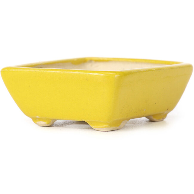 Vaso bonsai giallo rettangolare di Seto - 70 x 60 x 25 mm