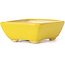 Pot à bonsaï rectangulaire jaune par Seto - 70 x 60 x 25 mm