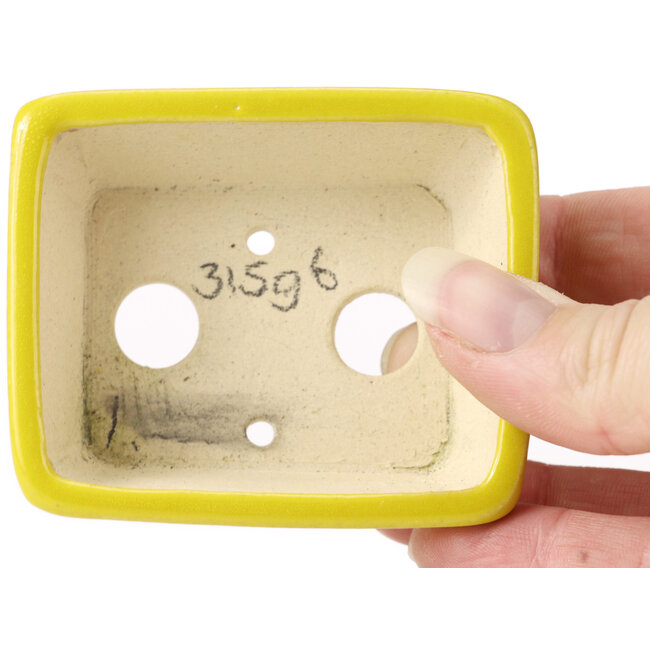 Maceta de bonsái amarilla rectangular de Seto - 70 x 60 x 25 mm