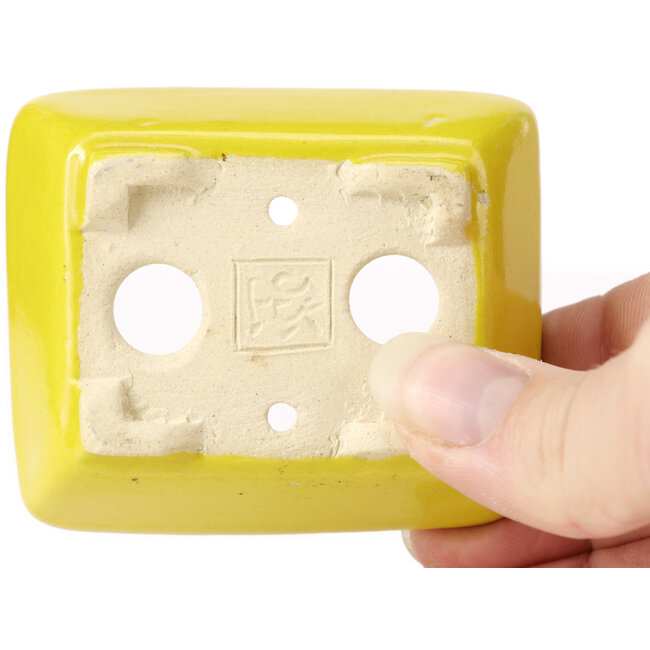 Rechteckige gelbe Bonsaischale von Seto - 70 x 60 x 25 mm