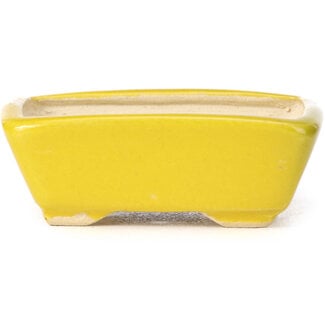 Seto 70 mm rectangular yellow bonsai pot by Seto, Japan