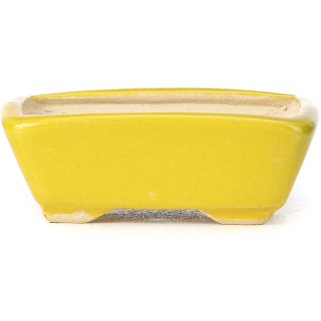 Rectangular yellow bonsai pot by Seto - 70 x 55 x 25 mm