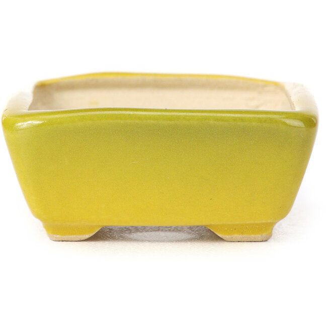 Vaso bonsai giallo rettangolare di Seto - 70 x 55 x 25 mm