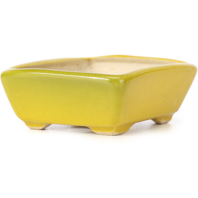 Rechteckige gelbe Bonsaischale von Seto - 70 x 55 x 25 mm