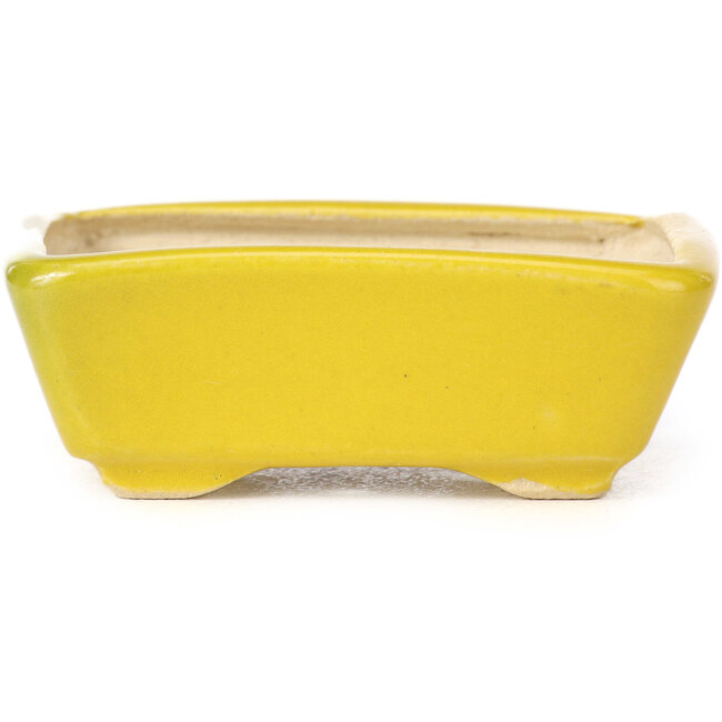 Pot à bonsaï rectangulaire jaune par Seto - 70 x 55 x 25 mm