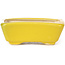 Pot à bonsaï rectangulaire jaune par Seto - 70 x 55 x 25 mm